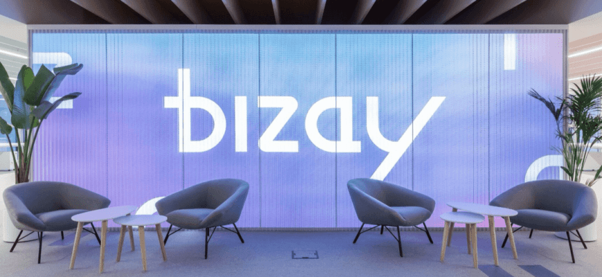 глобальная система Bizay